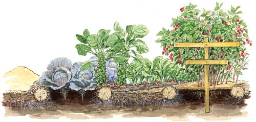Reader Pam Larsen wrote to contributing editor Barbara Pleasant to share her story of wood mulch success in her orchard.